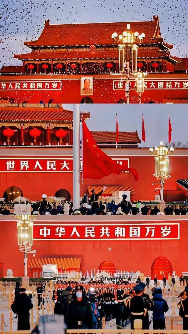 寻找萌小老虎